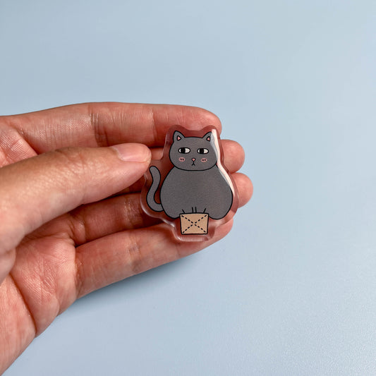 Cat in a Box Acrylic Pin