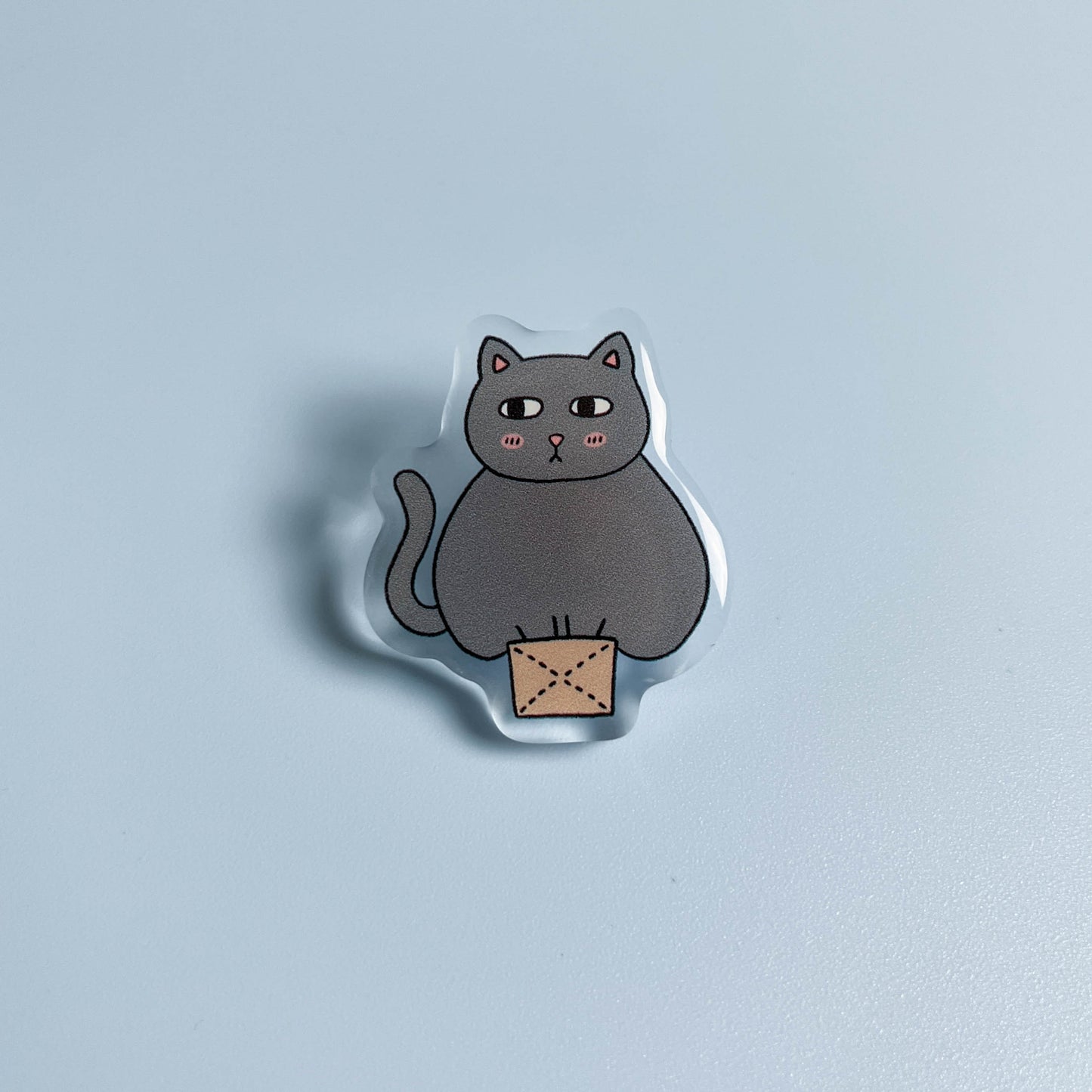 Cat in a Box Acrylic Pin