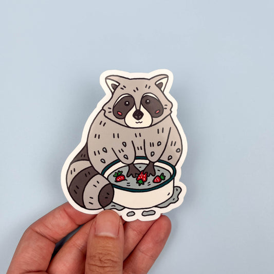 Raccoon Washing Strawberries Sticker